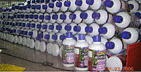 Bottles in Test Phase