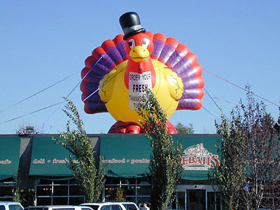 Inflatable Animals