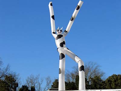 Wind Dancers® - Characters