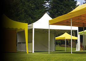 Windship Canopies