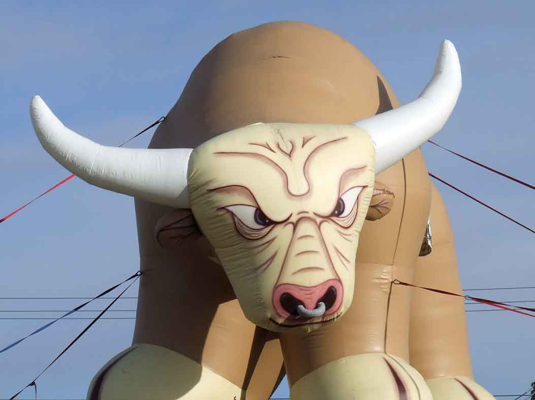 Giant Inflatable Bull