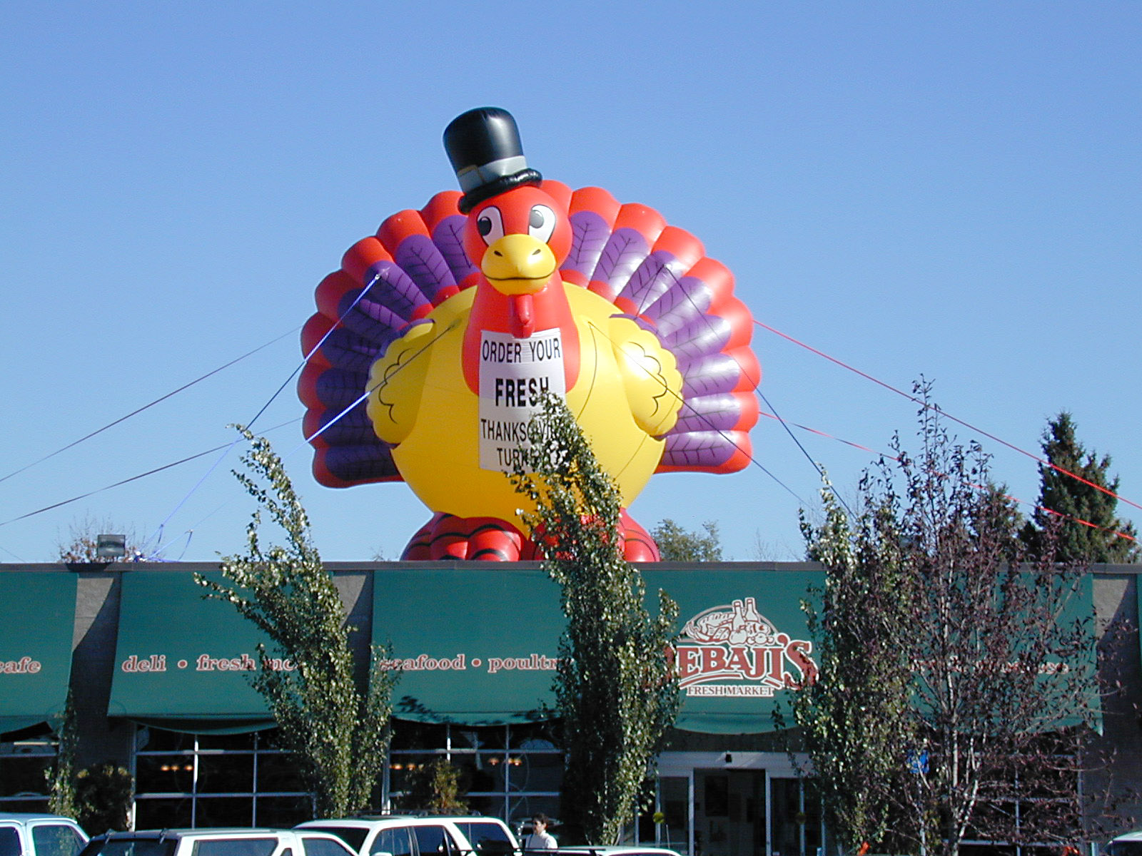 Giant Inflatable Custom Character